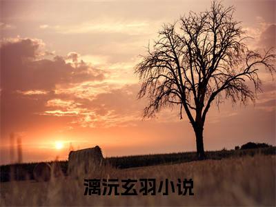 凤凰再不染梵音全篇完整在线阅读（漓沅玄羽）热门章节列表