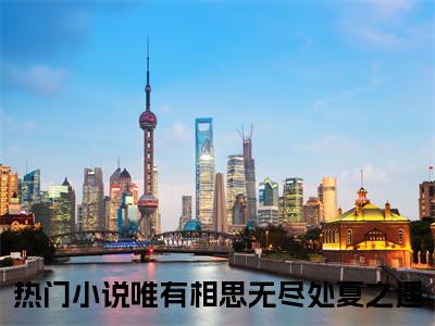 唯有相思无尽处夏之遥小说(唯有相思无尽处夏之遥)全文+后续（唯有相思无尽处夏之遥）无套路阅读