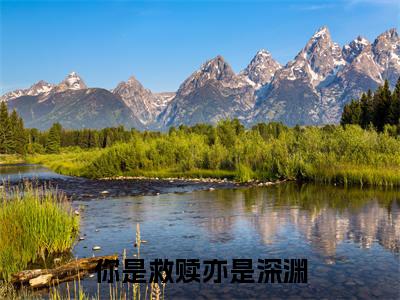 陆以泽应清商：结局+番外精品选集（你是救赎亦是深渊）番外+续集