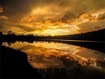 沈芊芊宋喻州：结局+番外青丝皓首梦一场小说全文无删减版在线阅读-最新小说沈芊芊宋喻州：结局+番外小说全文阅读
