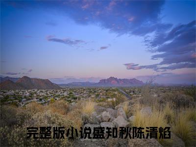 一寸阴尺相忘余生小说（盛知秋陈清焰）结局+番外抖音新书_（一寸阴尺相忘余生免费阅读全文大结局）最新章节列表