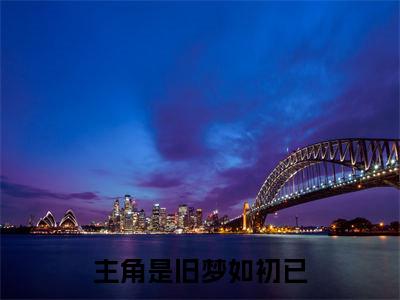 （旧梦如初已）旧梦如初已(许书意叶靖霆)整书在线无广告高口碑小说