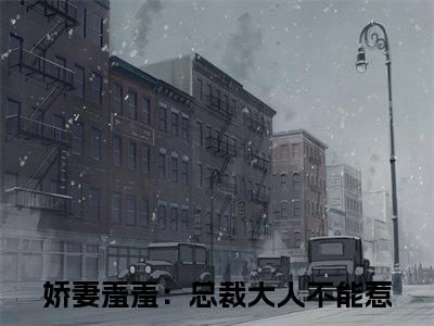 娇妻羞羞：总裁大人不能惹江熠然夏小冉彩蛋（江熠然夏小冉）全书在线下载阅读完美终章小说大结局