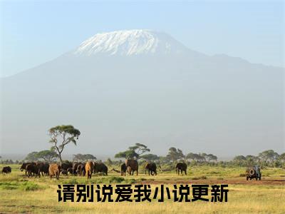 小说宋微夏薄以宸请别说爱我(宋微夏薄以宸)已更新+无删减（请别说爱我）