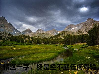 情这一字，终是经不起任何考验小说完整在线阅读（宋褚临江婉宁）前传列表