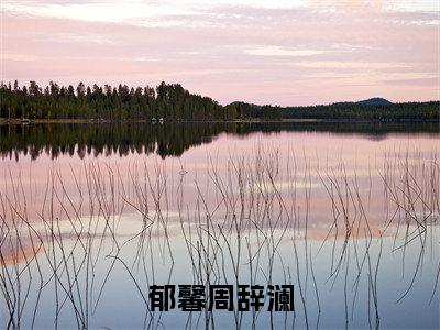 明月昭昭不识我心小说（郁馨周辞澜）全文免费阅读无弹窗_明月昭昭不识我心小说全文免费阅读）郁馨周辞澜+后续评价五颗星