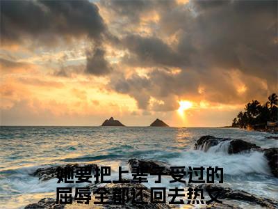 白昕雅沈君桥(她要把上辈子受过的屈辱全都还回去)小说全集在线下载_章节前文+后续（白昕雅沈君桥）