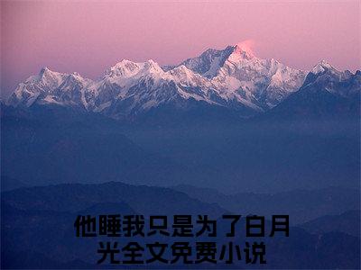 他睡我只是为了白月光(林书意陆沉)章节目录+起始篇章（他睡我只是为了白月光）：结局+番外评价五颗星