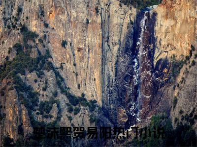 楚沫熙贺易阳（情爱与我而言，抵不过战场一粒黄沙）全文免费阅读无弹窗_楚沫熙贺易阳完整版最新阅读_笔趣阁（情爱与我而言，抵不过战场一粒黄沙）