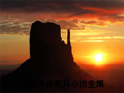 傅寒声林熙月小说(傅寒声林熙月)（傅寒声林熙月）整本+后续+结局在线阅读