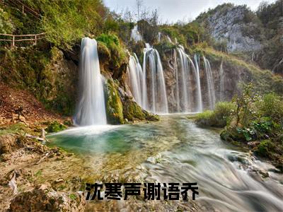 独家沈寒声谢语乔小说小说大结局（粉色若霞星似眸）全篇在线下载阅读