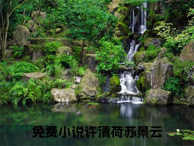许清荷苏景云：结局+番外(月下清秋树上稍)全文许清荷苏景云阅读无弹窗结局_月下清秋树上稍+结局最新章节列表_笔趣阁（许清荷苏景云：结局+番外）