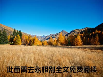 此番离去永相别：结局+番外免费品鉴+起始篇章（裴莹晚谢修文）阅读