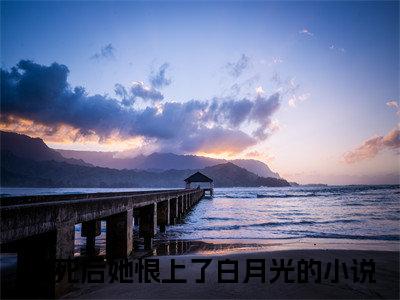 热文推荐孟绍庭楚清音小说（我死后她恨上了白月光）前传列表