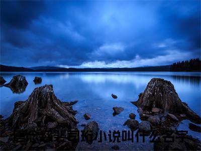 （怎甘心扬汤止沸）唐念慈裴司珩最终篇章章节在线无广告高口碑小说