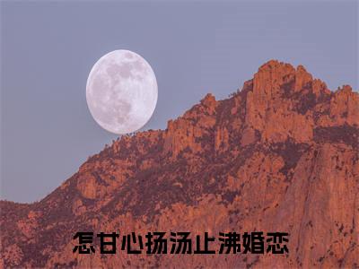小说怎甘心扬汤止沸(怎甘心扬汤止沸)已更新+无删减（怎甘心扬汤止沸）