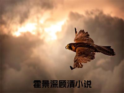 她落黄泉无归期小说叫什么(霍景深顾清)小说全集阅读无广告（她落黄泉无归期）番外+续集