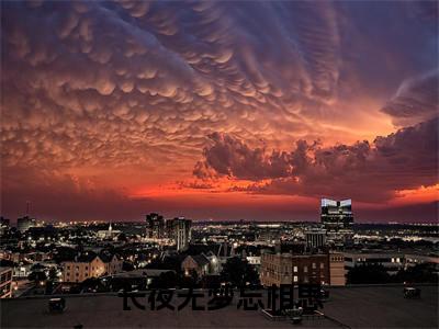 长夜无梦忘相思:全文+番外+章节前文（傅梦晗曲言霄）TXT清爽版在线