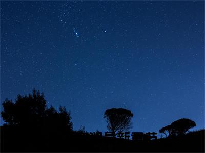 榻上安澜：+后续现已上架（萧介萧筱）：结局+番外评价五颗星