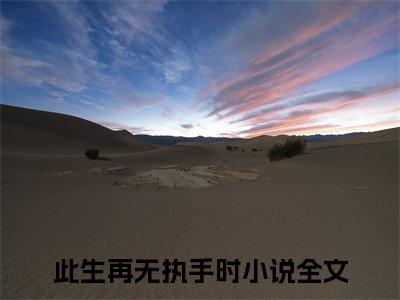 此生再无执手时：完结+结局+番外（此生再无执手时季向晨穆清柠：完结+结局+番外）