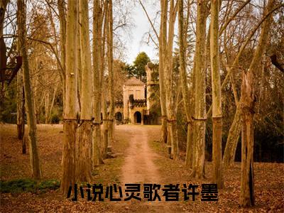 心灵歌者许墨（心灵歌者许墨）完整全文在线阅读_心灵歌者许墨小说全章节目录阅读（心灵歌者许墨）