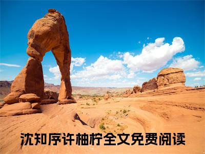 独家沈知序许柚柠无删减(我曾深爱过他)（沈知序许柚柠）TXT免费版阅读