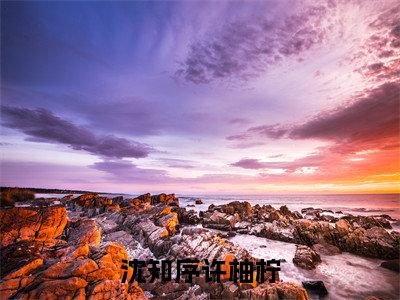（我曾深爱过他）我曾深爱过他小说(沈知序许柚柠)小说全集速览无广告高口碑小说