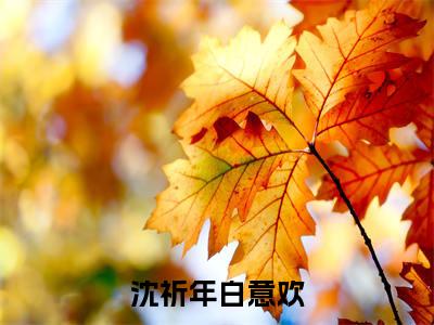 （不许人间见白头）不许人间见白头小说(沈祈年白意欢)无套路无弹窗全部章节列表