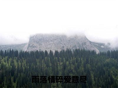唐雨贺尽泽雨落情碎爱意尽小说完本+番外（雨落情碎爱意尽）畅享阅读