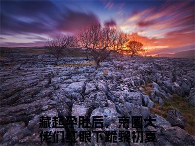 藏起孕肚后，京圈大佬们红眼下跪黎初夏完结版阅读《藏起孕肚后，京圈大佬们红眼下跪黎初夏》最新章节目录好书推荐_(藏起孕肚后，京圈大佬们红眼下跪黎初夏)