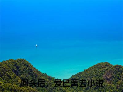 回头后，爱已离去免费（苏晚傅辞）最新章节_回头后，爱已离去免费全文阅读