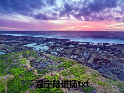 温宁陆进扬小说(穿书七零，大院来了个美媚娇)全文+后续（温宁陆进扬）畅享阅读