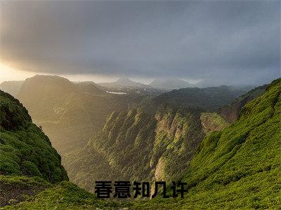 谢司晨沈知许（春意知几许）全文免费阅读无弹窗大结局_（谢司晨沈知许）最新章节列表_笔趣阁（春意知几许）