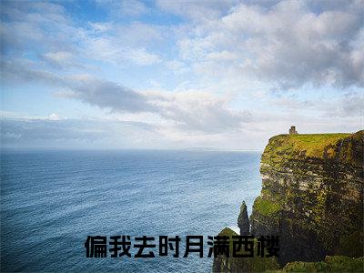 霍屿洲沈漾：完结+结局+番外（霍屿洲沈漾偏我去时月满西楼：完结+结局+番外）