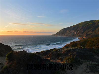 假爱阴谋小说（温暮雪周书礼）起点章节+全篇阅读热门作品预订