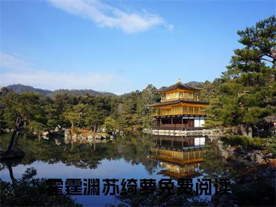 霜华染鬓情难守霍霆渊苏绮萝完结篇全篇阅读无广告（霍霆渊苏绮萝）番外+续集