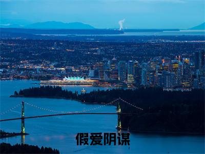 假爱阴谋：结局+番外新上热文 新章速递周书礼温暮雪：结局+番外评价五颗星