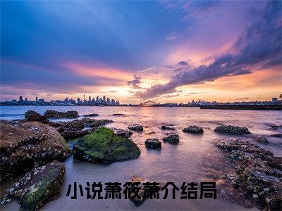 （萧筱萧介）榻上安澜小说最终篇章章节在线无广告高口碑小说