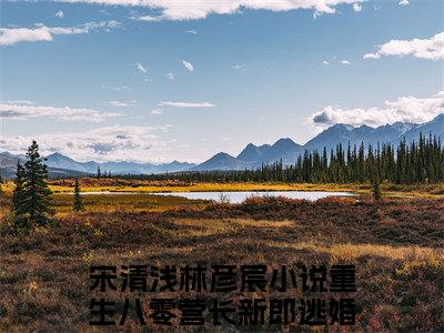 重生八零营长新郎逃婚了小说(宋清浅林彦宸)章节目录+起始篇章（重生八零营长新郎逃婚了）全章无套路在线