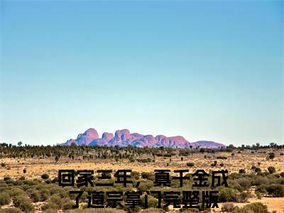 苏云意谢祁琛结局+番外+结局（回家三年，真千金成了道宗掌门）全文免费阅读无弹窗大结局_苏云意谢祁琛：结局+番外免费阅读最新章节列表_笔趣阁（苏云意谢祁琛结局+番外）