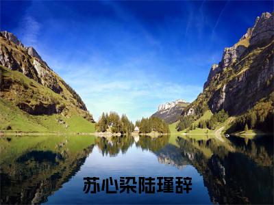 苏心染陆瑾辞：结局+番外新上热文（爱到情尽才挽留）全篇免费版在线+无障碍结局
