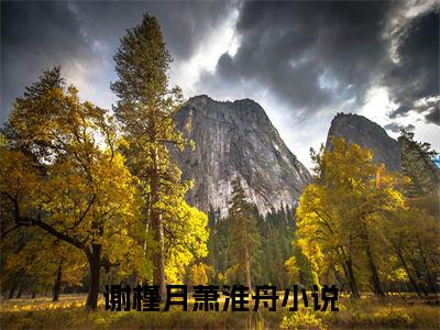 （头条）朝朝暮暮盼君心小说(谢槿月萧淮舟)整本免费版阅读无广告（朝朝暮暮盼君心）
