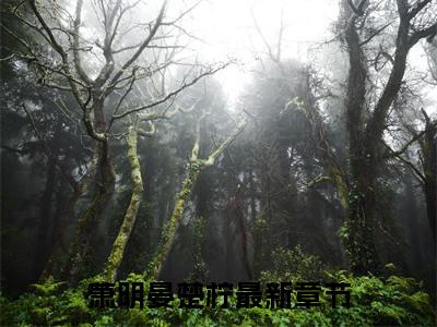 火光下你的荣耀小说无删减阅读清爽版（萧明晏楚柠）外篇+续集