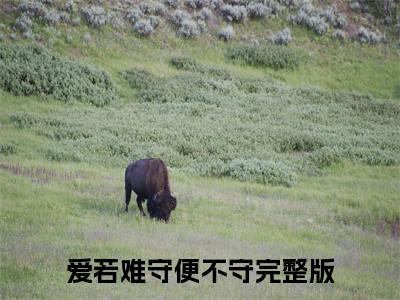 爱若难守便不守：结局+番外看点十足（沈雪鸢靳司臣）全书无套路阅读