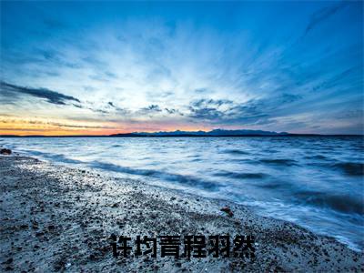 七零年代：他入雪山无归期：结局+番外免费品鉴+全书阅读（许均青程羽然）：结局+番外评价五颗星