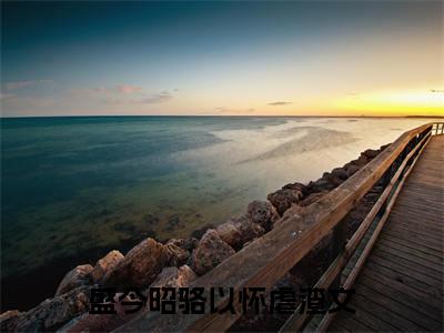 掌心疤小说(盛今昭骆以怀)（掌心疤）全书+后续+结局在线阅读