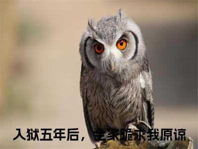 林浅小说(入狱五年后，全家跪求我原谅)序章+全章阅读（林浅）最新章节