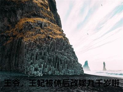 沈南星傅九离王爷，王妃被休后改嫁九千岁啦：全文+后续王爷，王妃被休后改嫁九千岁啦全文免费阅读（沈南星傅九离王爷，王妃被休后改嫁九千岁啦：全文+后续）全文免费王爷，王妃被休后改嫁九千岁啦阅读无弹窗大结局_沈南星傅九离王爷，王妃被休后改嫁九千岁啦：全文+后续小说王爷，王妃被休后改嫁九千岁啦最新章节列表_笔趣阁（王爷，王妃被休后改嫁九千岁啦）