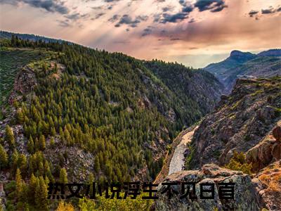 萧淮宴沈画倾（浮生不见白首）全文免费阅读无弹窗大结局_萧淮宴沈画倾最新章节列表_笔趣阁（浮生不见白首）