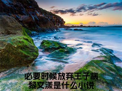 必要时候放弃王子病黎文漾附加(必要时候放弃王子病黎文漾)（必要时候放弃王子病黎文漾）全本浏览阅读连载中